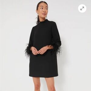 Tuckernuck Black Sheath Mini Dress with Bell Sleeves